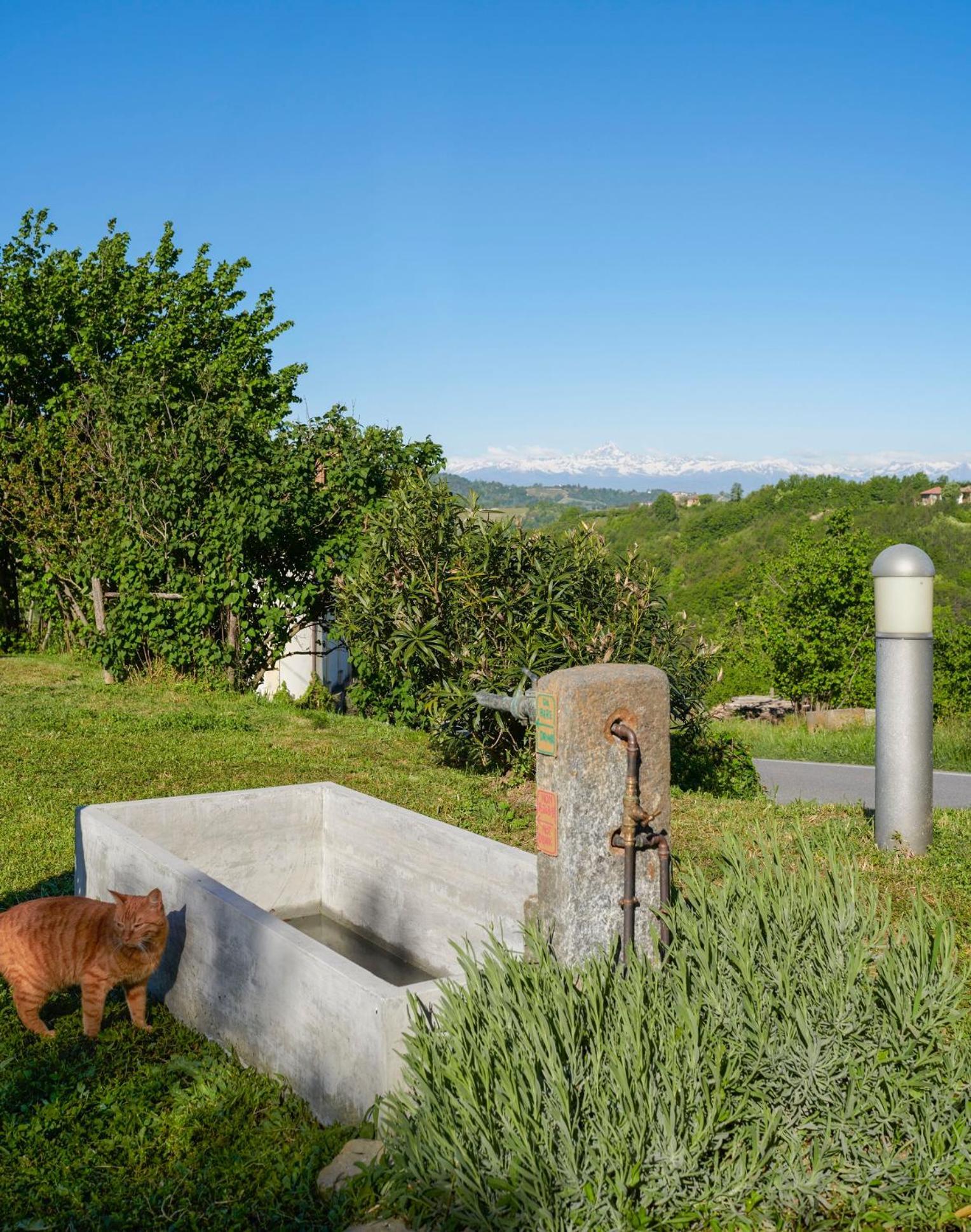 Cascina Sant'Eufemia Villa Sinio Buitenkant foto