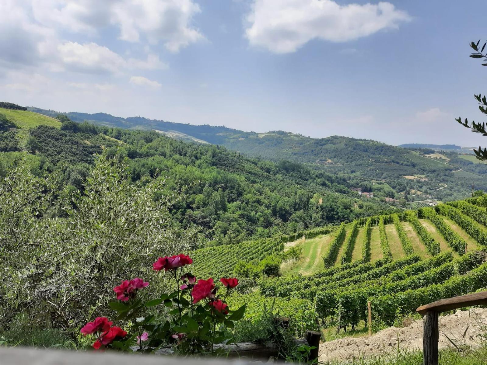 Cascina Sant'Eufemia Villa Sinio Buitenkant foto